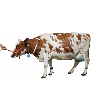 Kit complet suspensor uger vaci, standard, Akroh, pe vaca