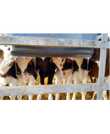 Hranitoare comuna vitei cu 6 tetine, Milk Bar, 36l productie saliva