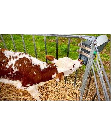 Set 5 kituri complete sistem alaptare vitei Milk Bar Vitality, alaptare vitel