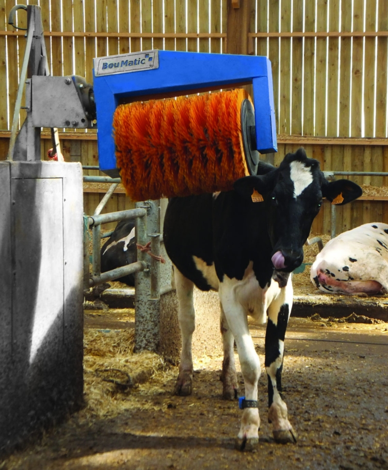 Perie rotativa automata pentru vaci, BouMatic HandyBrush