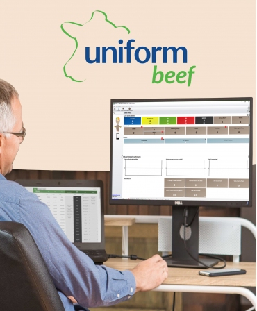 Uniform Beef
