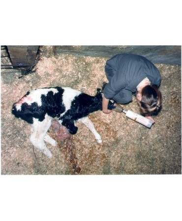 Resuscitator vitei, H&L CalfVital, salvare viata vitel