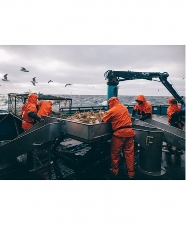 Salopeta de lucru PVC Helly Hansen Storm Rain, impermeabila, in timpul sortarii crabilor