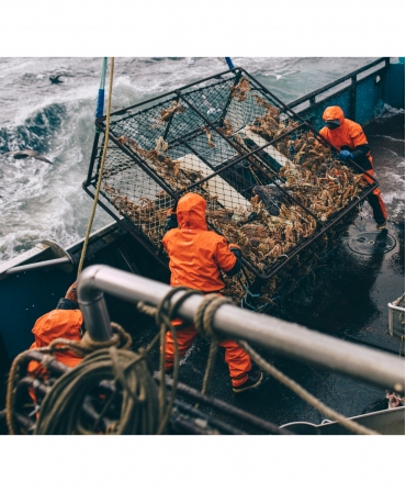 Salopeta de lucru PVC Helly Hansen Storm Rain, impermeabila, captura crabi
