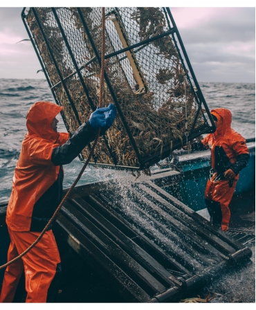 Salopeta de lucru PVC Helly Hansen Storm Rain, impermeabila, pe muncitori lucrand cu crabii