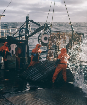 Salopeta de lucru PVC Helly Hansen Storm Rain, impermeabila, captura crabi cu marea in spate
