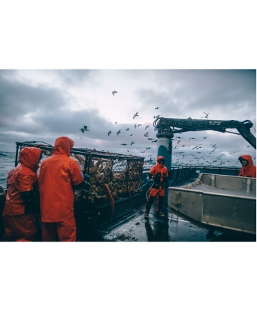 Salopeta de lucru PVC Helly Hansen Storm Rain, impermeabila, descarcare crabi cu pasari in fundal