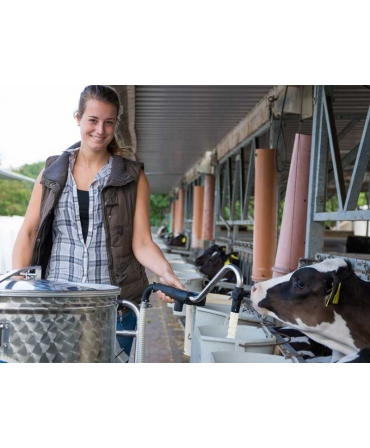 Milk Taxi pentru hranirea inteligenta a viteilor, cu pasteurizare, in lucru la alaptarea viteilor