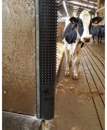 Scarpinatoare pentru vaci din cauciuc natural, Bioret Dairy Scratchy cu vaca