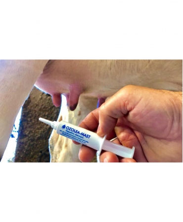 Seringi intramamare fara antibiotic pentru tratamentul mastitelor la vaci, Ozolea-Mast, aplicare
