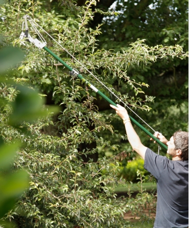 Fierastrau crengi cu lama otel carbon, maner telescopic, Spear & Jackson Kew Garden, in lucru