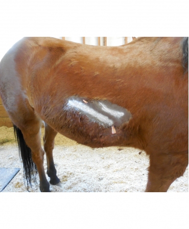Spray aluminiu de uz veterinar pentru protectia ranilor, Excellent, tub 200 ml, pe rana
