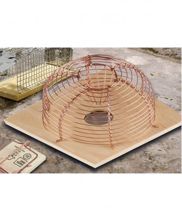 Cusca metalica clasica capturare soareci, rotunda, cu o intrare, Swissinno Mouse Cage Round Classic, amplasata
