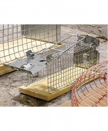 Cusca metalica clasica capturare soareci, Swissinno Mouse Cage Trap Classic, amplasata