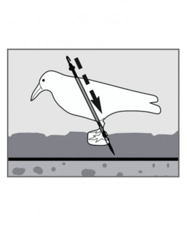 Sperietoare de pasari tip corb, Swissinno Raven Bird Repeller, grafic asamblare