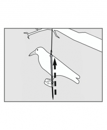 Sperietoare de pasari tip corb, Swissinno Raven Bird Repeller, grafic pozitionare