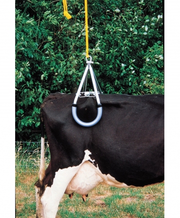 Dispozitiv ridicare vaci, VINK, vaca