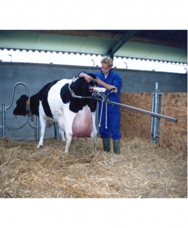 Dispozitiv pentru extragerea viteilor, VINK, in timpul fatarii