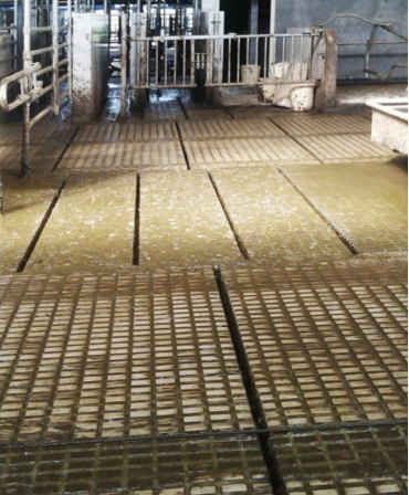 Pardoseala beton canelata cu canal de scurgere, Cobefa Welfare Floor W4, H18, de aproape