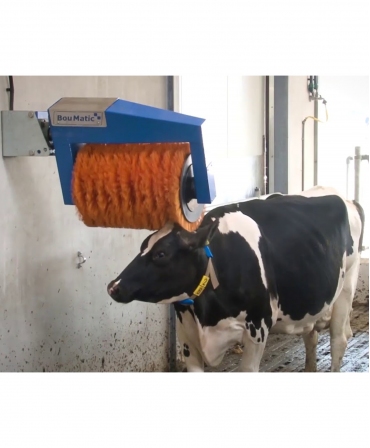 Perie rotativa automata pentru vaci, BouMatic HandyBrush, vaca in adapost