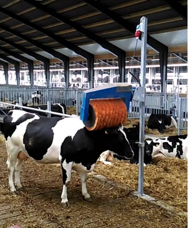 Perie rotativa automata pentru vaci, BouMatic HandyBrush, in adapost