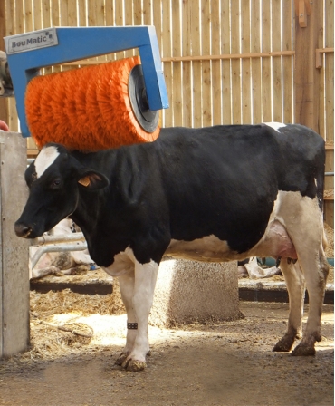 Perie rotativa automata pentru vaci, BouMatic HandyBrush, vaca profil