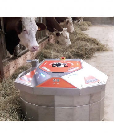 BouMatic Ranger pe alea de furaje, impingand fan la vaci