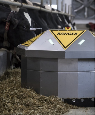 Robot de impins furaje BouMatic Ranger, spatele, langa vaci