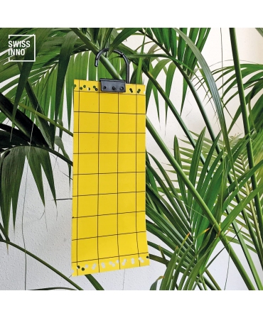 Placi adezive galbene pentru capturarea insectelor zburatoare, 24 x 10cm, Swissinno Yellow Adhesive Boards, amplasata