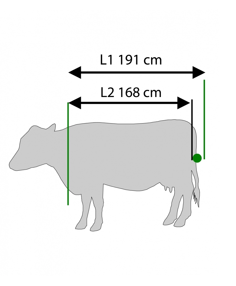 Dimensiuni vaca in standul de trimaj KVK 800-1