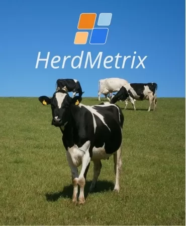 Sistem de management ferme vaci lapte BouMatic HerdMetrix