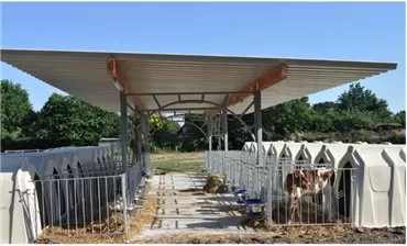 Veranda pentru cusete vitei, Calf Garden H&L, structura de baza fara acoperis