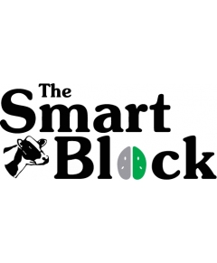 The Smart Block
